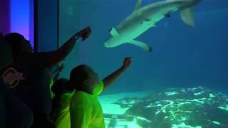 EducationWorks visits Camden Adventure Aquarium