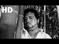 산불(1967) / Burning Mountain ( Sanbul )