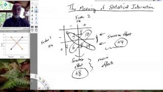 Lesson26 The Meaning of Statistical Interaction