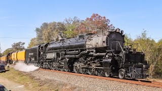 Big Boy on the Move - UP 4014 between Overton and Marshall, TX 11/10/19 // Trinity Rail Productions