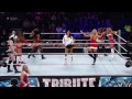 Diva Santa's Helper Battle Royal: Tribute to the Troops 2014