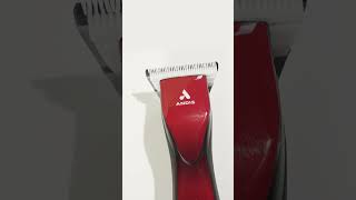 Grooming With Andis Dblc-2 Pulse Zr Ii 5-Speed Cordless Clipper In Action
