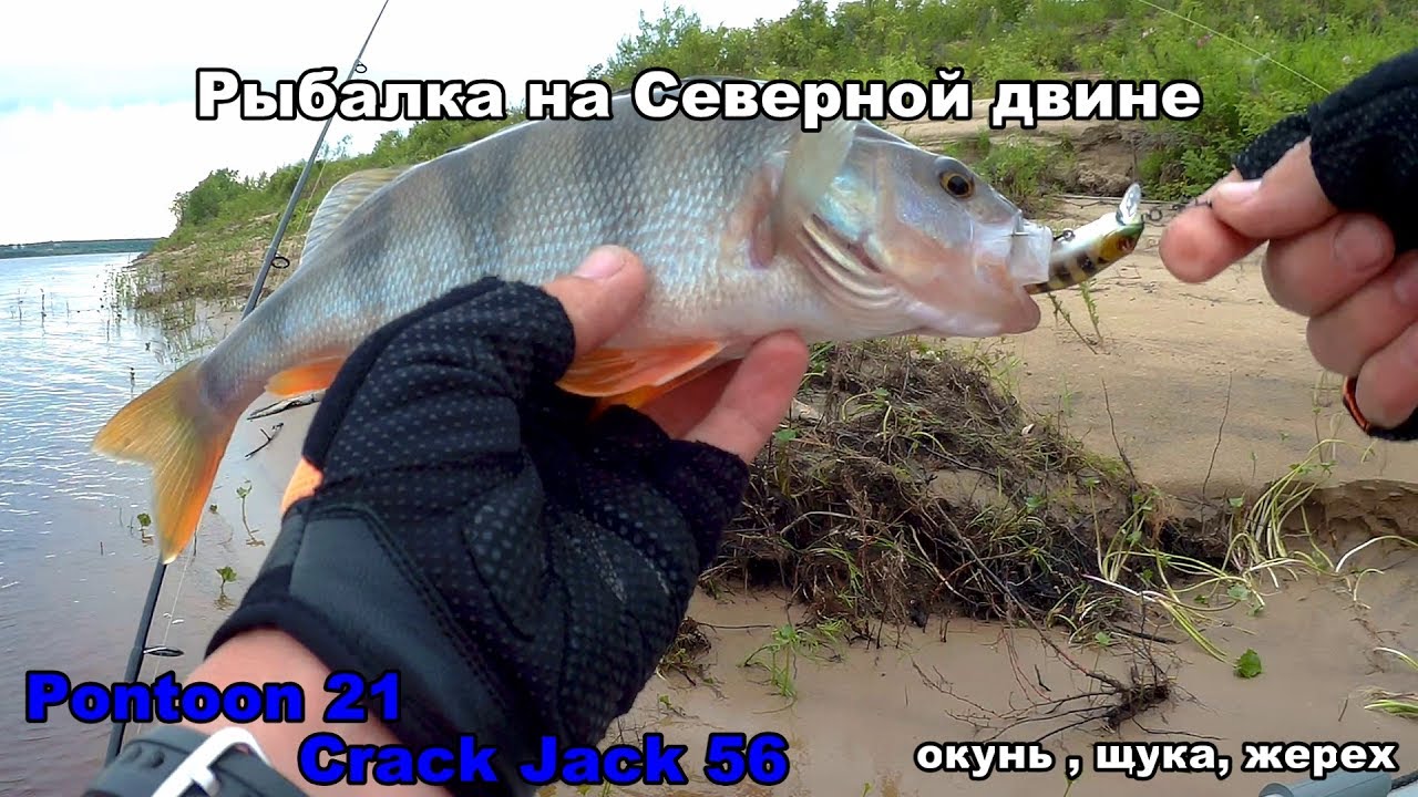 а помнишь я на рыбалке ногу а помнишь я на рыбалке ногу