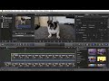 final cut pro x