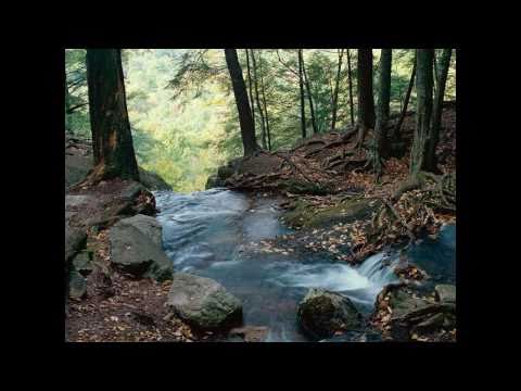 Arlo Guthrie - Amigo Arlo Guthrie - Amigo
