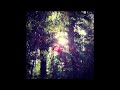 Don't Ask (Grizzly Bear Cover)