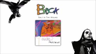 Watch Beck Salt In The Wound video