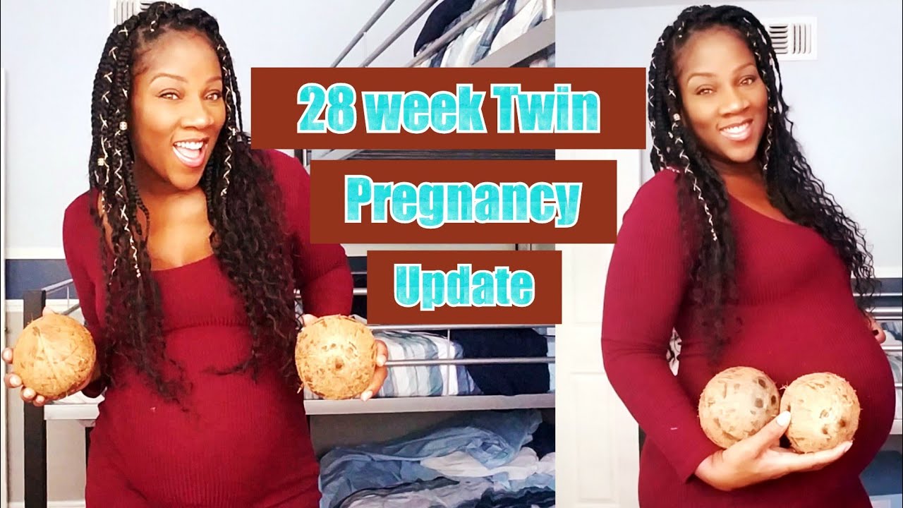 Pregnant twins ebony