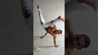 Bico De Papagaio-Capoeira