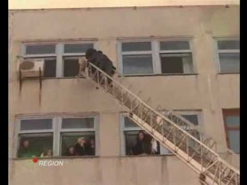 гастро-веда инструкция