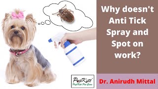 Anti Tick Spot On & Sprays - Use it correctly - By Dr. Anirudh Mittal | Pupkitt Pet Care