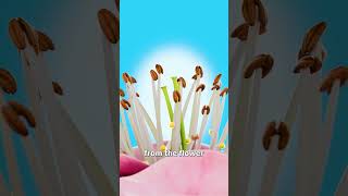 Robot Bees Pollinate Fruit Trees