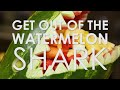Get Out of the Watermelon Shark | Rachael Ray Show