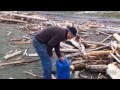 Backstory: Tsunami Debris in Alaska