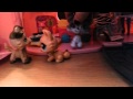 Lps:Sam And Cat:Tuna fish jump:Part 1