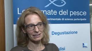 Tutti i video