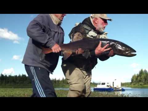 фильмы о северной рыбалке фильмы о северной рыбалке