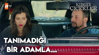 Meral Tanımadığı Bir Adamla Ormanda Baş Başa Kırgın Çiçekler