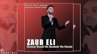 Zaur Eli - Dostum Gunah | Azeri Music []
