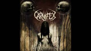Watch Carnifex Wretched Entropy video