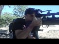 .25 cal airgun