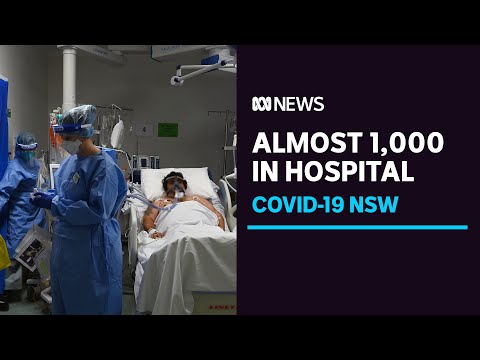 NSW COVID19 3 Sep 1,431 new cases, 12 deaths including woman in her 30s | ABC News