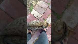 my lovely baby cat do not let me go away from her :)