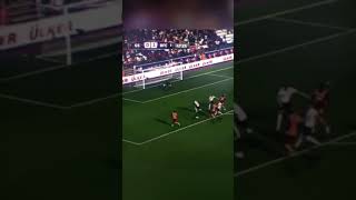 Van Aanholt