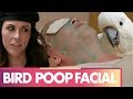 BIRD POOP FACIAL?!? (Beauty Trippin)