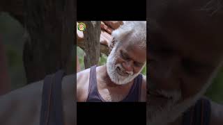 Thunaimudhalvar Movie K Bhagyaraj