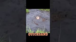 Kid Falls Into Quicksand And This Happens...