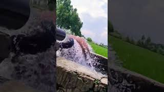 Desi Kundi