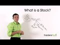 stock
