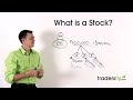 stock