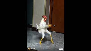 Goyang Hot