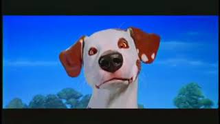 Nickelodeon Movies Logo Dog 2019