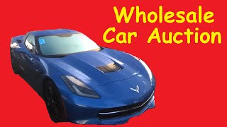 Wholesale Auto Auction Buy Sell Car Auctions Preview Video