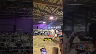 Poor Man Rides Bull For His Family..