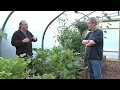 polytunnels