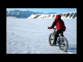 World Beyond The Poles E-Talk