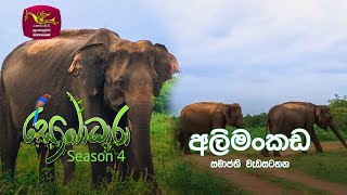 Sobadhara - Sri Lanka Wildlife Documentary | 2021-12-31 | Elephantpass