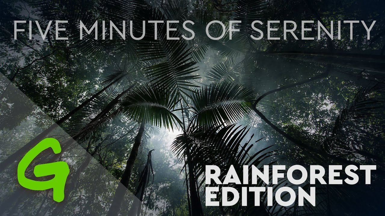 Five Minutes of Serenity: Rainforests Edition