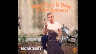 Watch Morrissey Arthounds video