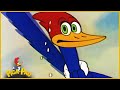 Pica-Pau Clássico em Português | Um Ás Demais | Desenhos Animados | Desenhos Antigos