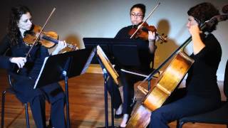 Canon In D String Trio By Pachelbel Musical Dis Y Chamber Players Canon In D String Trio By Pachelbel Musical Dis Y Chamber Players