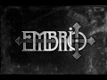 Embrio - Nothing is the same (demo version)