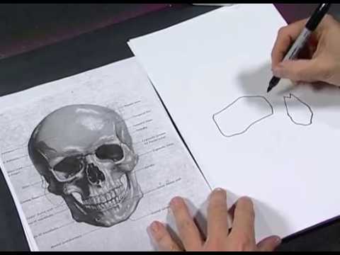 Как научится рисовать как аэрографы Как научится рисовать как аэрографы