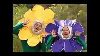 Watch Wiggles Dancing Flowers video