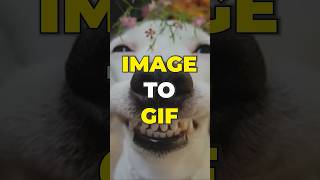 Image To Gif Convert Images To Gifs Easily, In Your Web Browser
