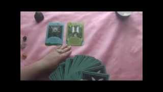 Weekly Psychic Reading January 27 February 2 2014 With Erin Lee Weekly Psychic Reading January 27 February 2 2014 With Erin Lee